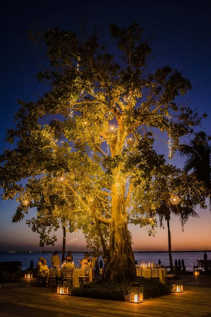 Romantic waterfront wedding reception at sunset in Riviera Maya with illuminated tree and ocean view dining setup