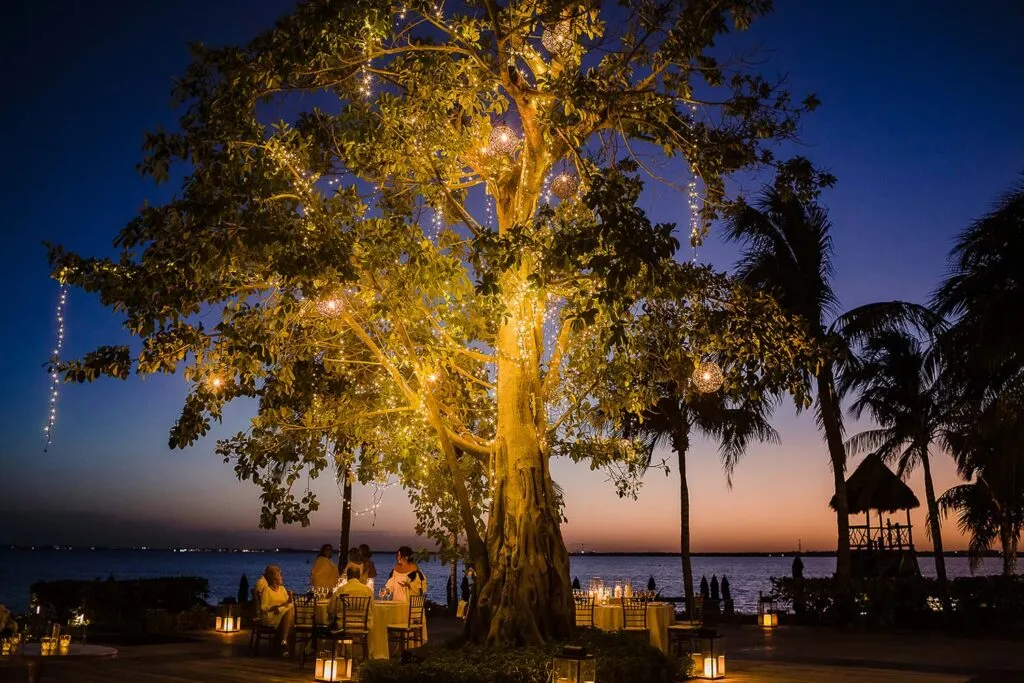 Romantic beachfront wedding dinner under illuminated tree at sunset in Cancun Riviera Maya Mexico destination wedding venue