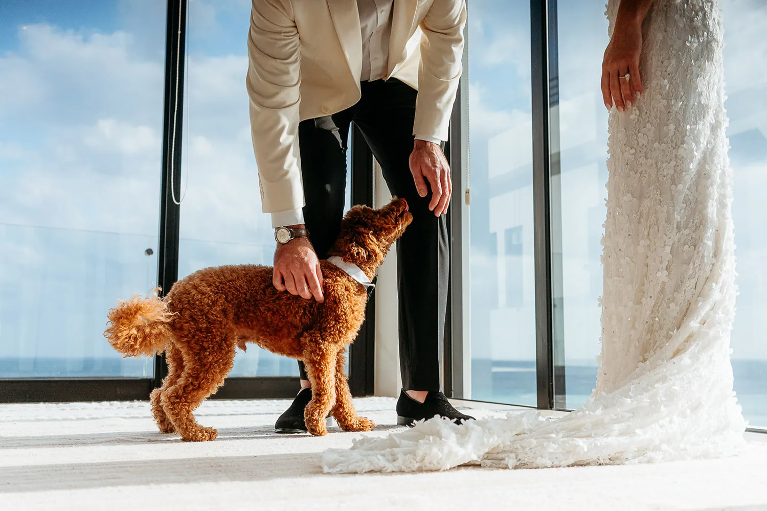 Luxury wedding couple with poodle dog in modern Cancun resort overlooking Caribbean Sea in Riviera Maya Mexico