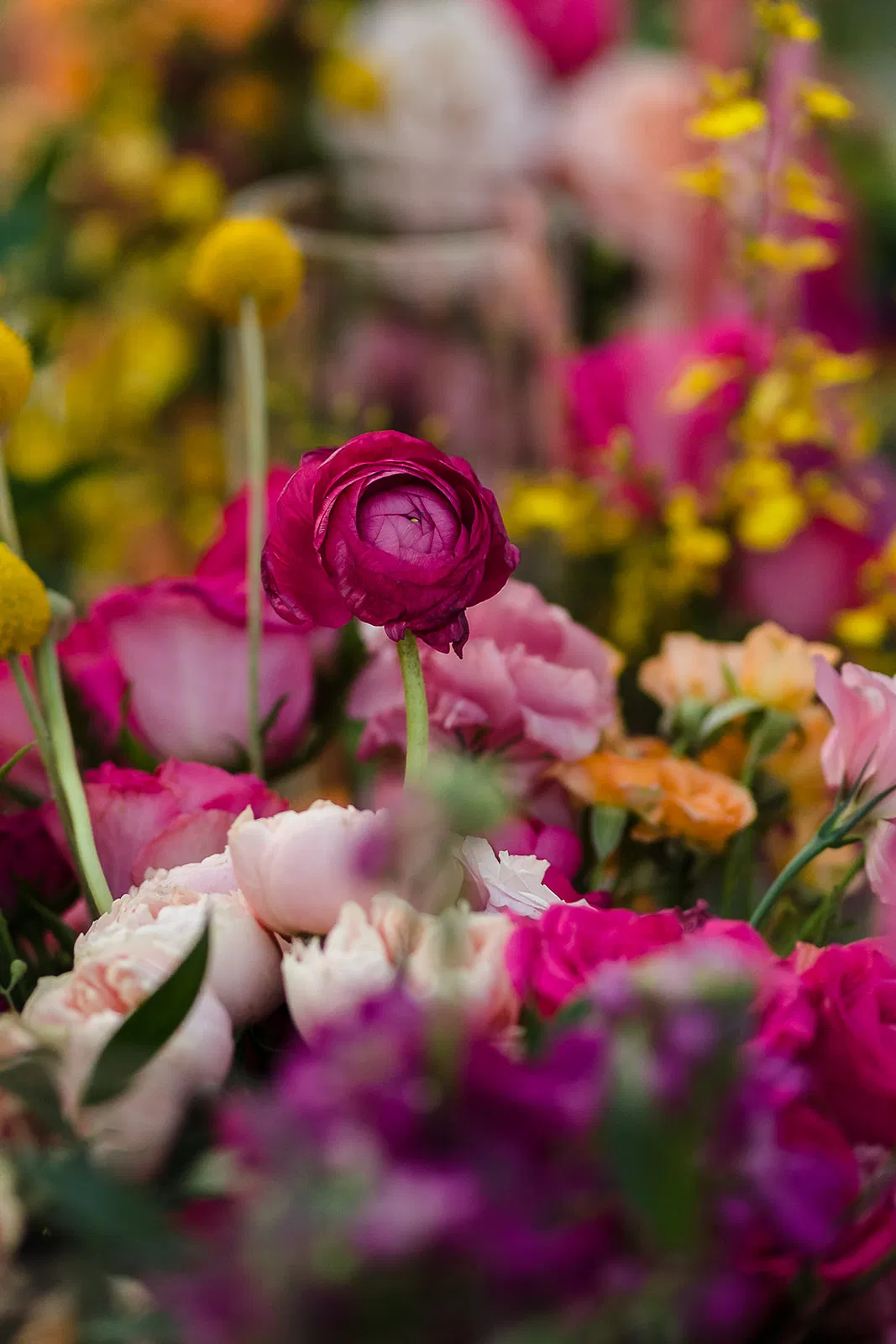 LGBTQ wedding flowers at Rosewood Mayakoba - vibrant ranunculus bouquet for same-sex couples in Riviera Maya Mexico